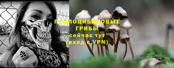 герыч Переславль-Залесский