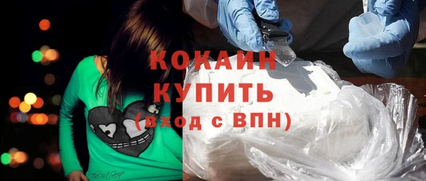 шишки Пересвет