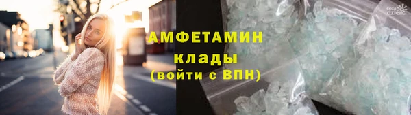 шишки Пересвет