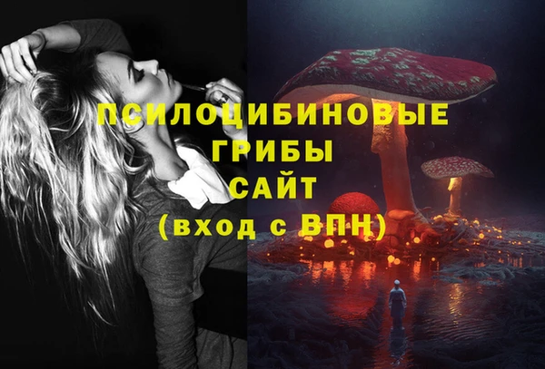 шишки Пересвет