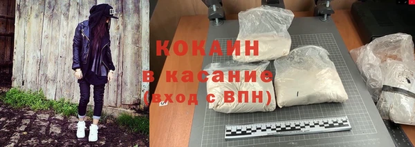 шишки Пересвет