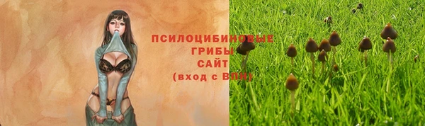 мескалин Осташков