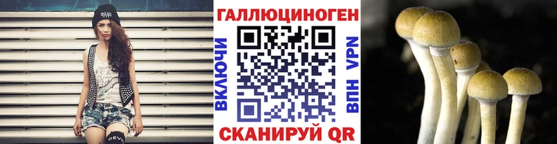 Купить где  Краснообск  Галлюциногенные грибы MAGIC MUSHROOMS 